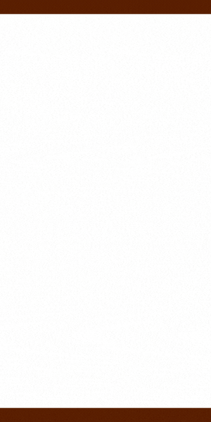 Larsen Gallery ad